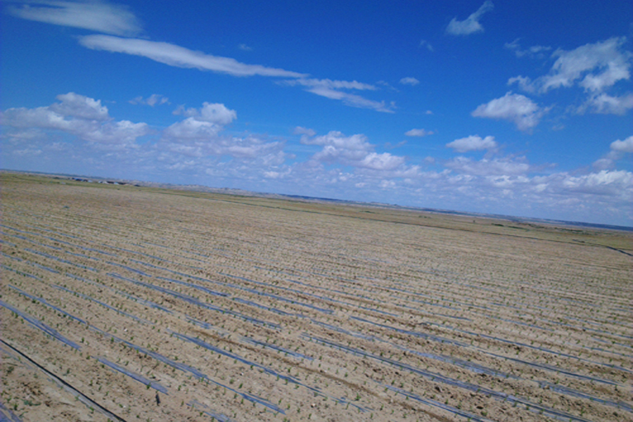 農(nóng)業(yè)節(jié)水設(shè)備-泓科疊和流道低壓小流量滴灌帶