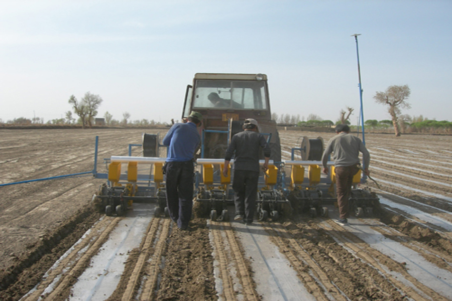 農(nóng)業(yè)節(jié)水設(shè)備-泓科疊和流道低壓小流量滴灌帶