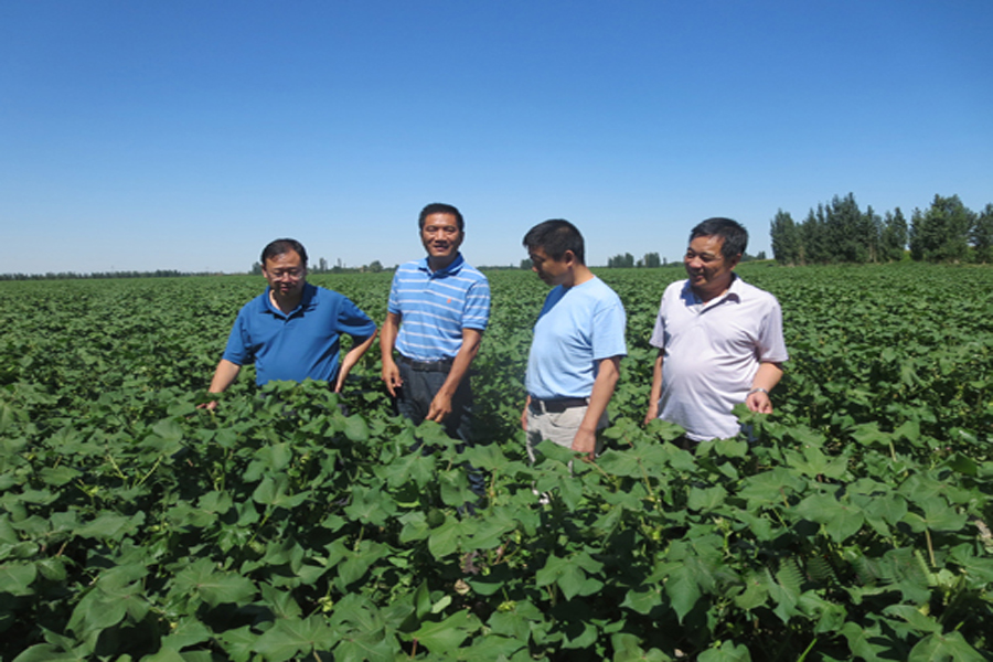 農(nóng)業(yè)節(jié)水設(shè)備-泓科疊和流道低壓小流量滴灌帶